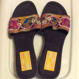 Cute colorful sanders